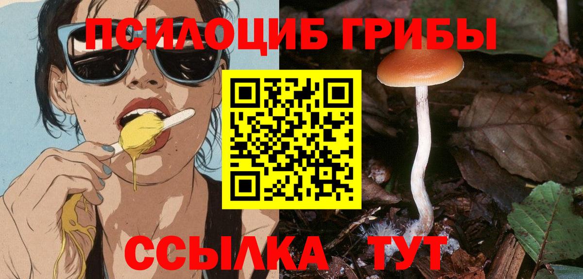Псилоцибиновые грибы Psilocybe Нижневартовск
