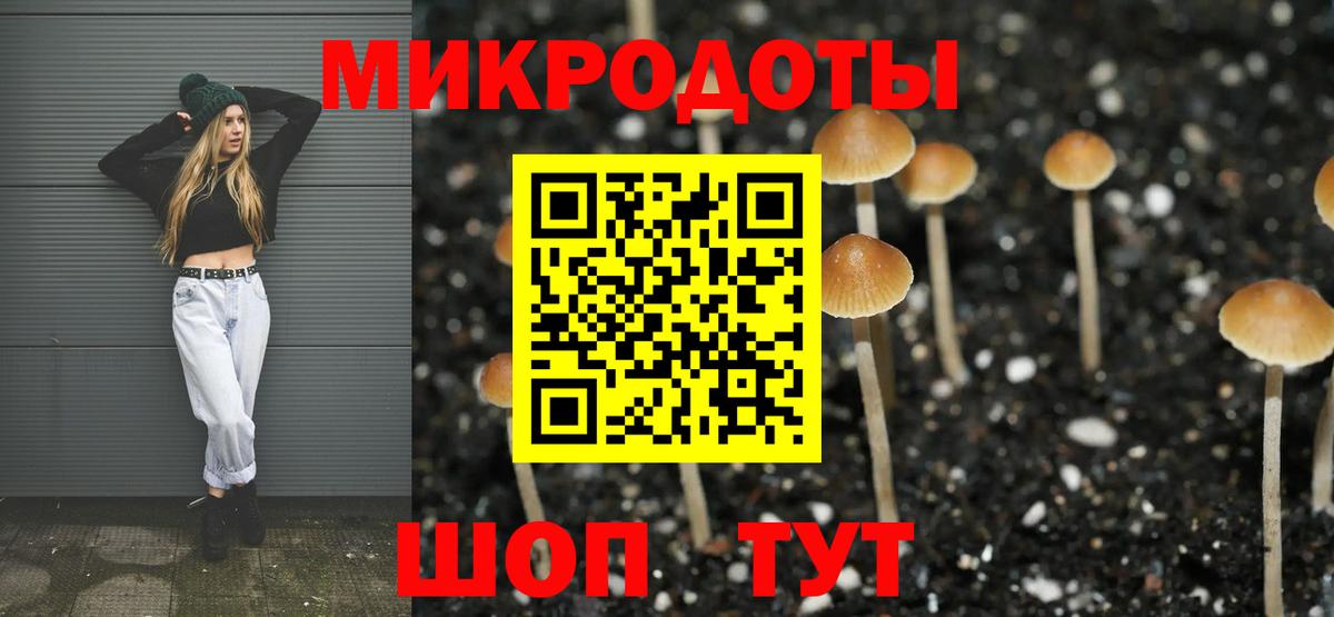 Нижневартовск  Галлюциногенные грибы Cubensis  дарнет шоп  Вход с VPN  Галлюциногенные грибы Cubensis 
